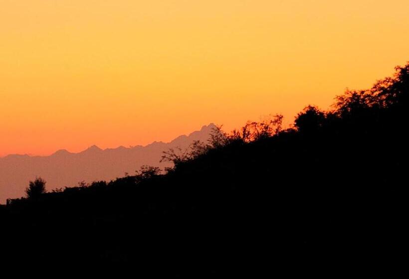 Апартаменты 1 Спальня Нижний Этаж, Agriturismo Sondrea