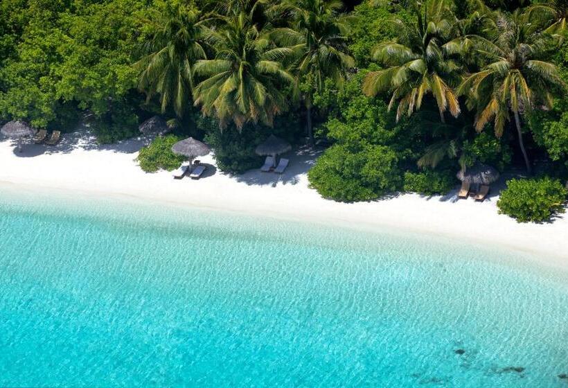 ویلای لوکس 1 خوابه, Baros Maldives