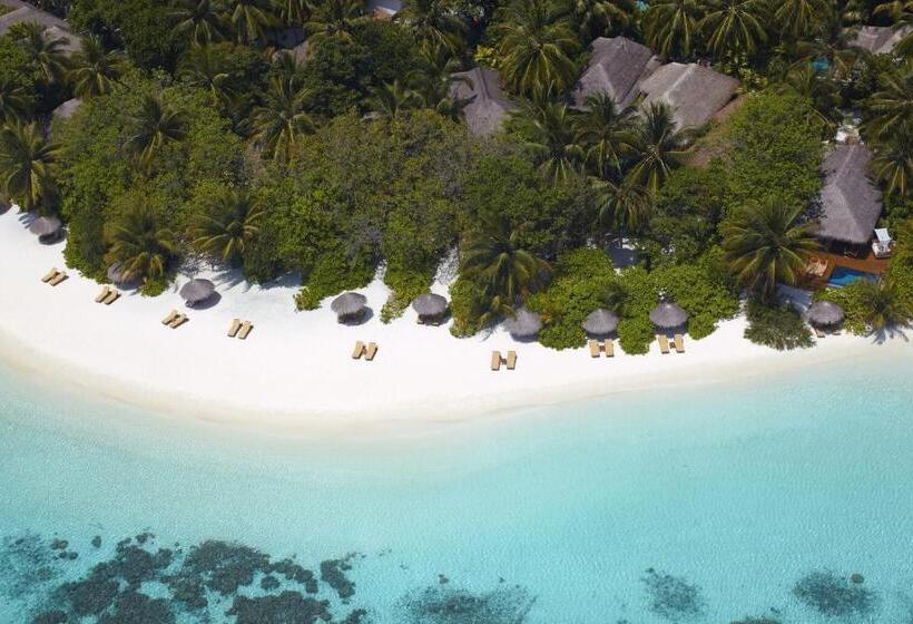 ویلای یک اتاق خوابه با استخر شنا, Baros Maldives