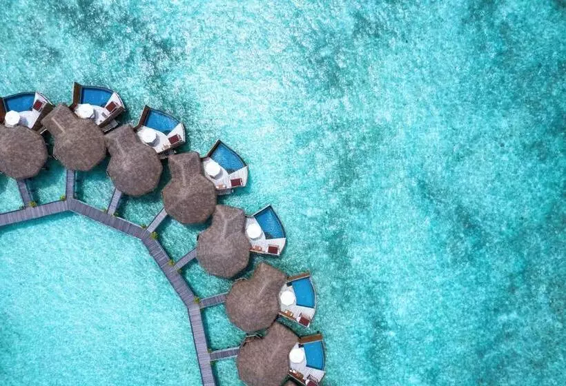 ویلای یک اتاق خوابه با استخر شنا, Baros Maldives