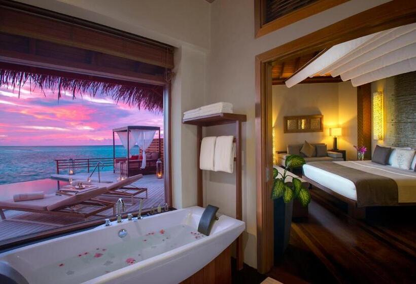 ویلای یک اتاق خوابه با استخر شنا, Baros Maldives