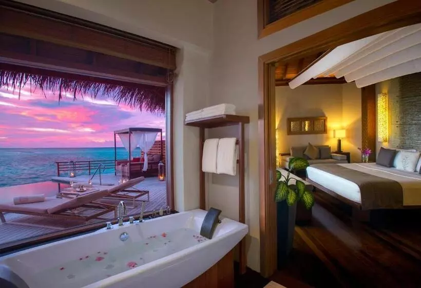 ویلای یک اتاق خوابه با استخر شنا, Baros Maldives
