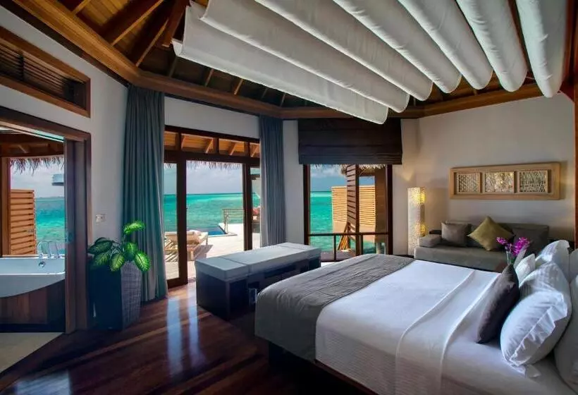 ویلای یک اتاق خوابه با استخر شنا, Baros Maldives