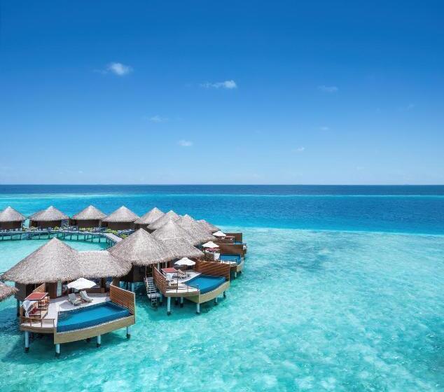 ویلای یک اتاق خوابه با استخر شنا, Baros Maldives