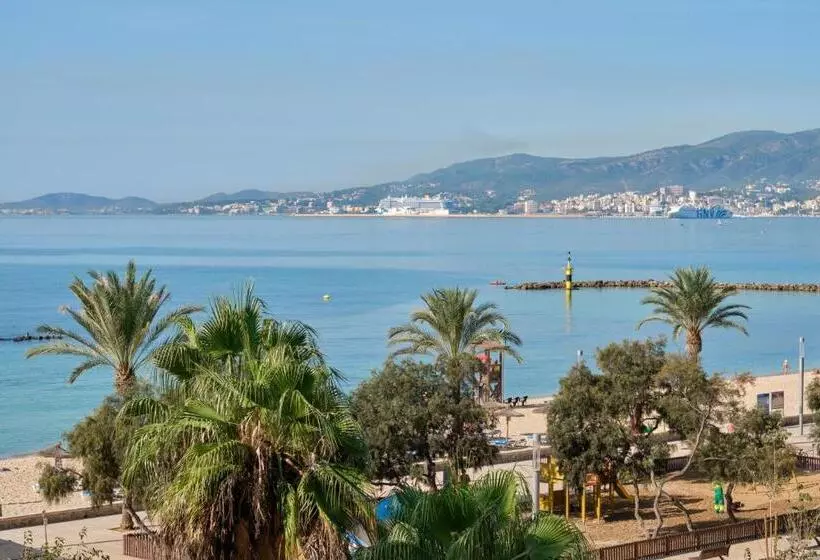 سوییت دوبلکس, Ciutat Jardi