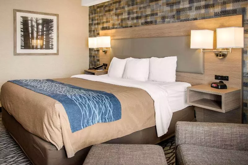 اتاق استاندارد با تخت بزرگ, Comfort Inn Airport Dorval
