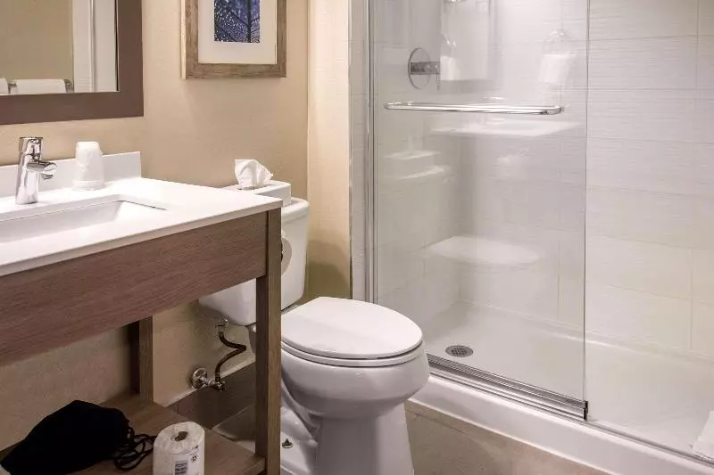 اتاق استاندارد با تخت بزرگ, Comfort Inn Airport Dorval