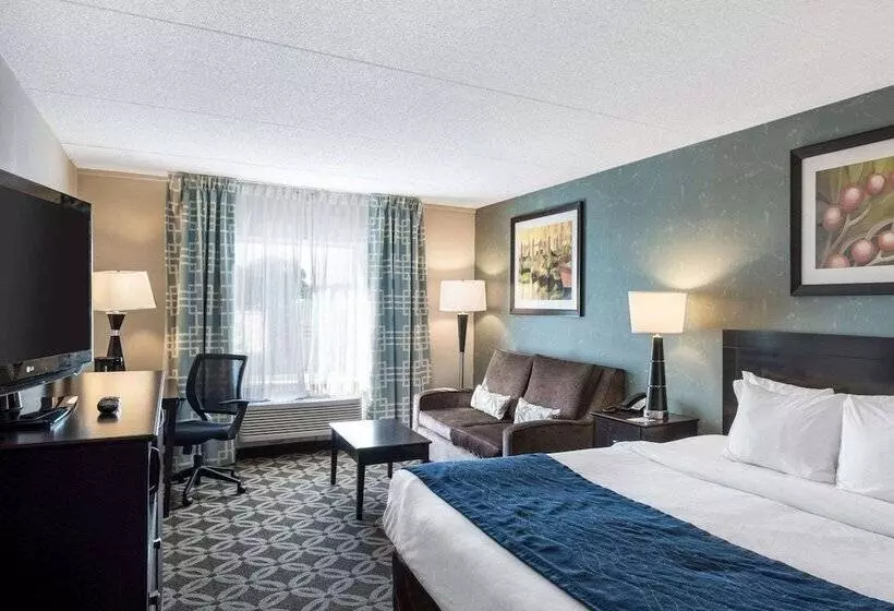 スタンダードルーム, Comfort Inn Rehoboth Beach
