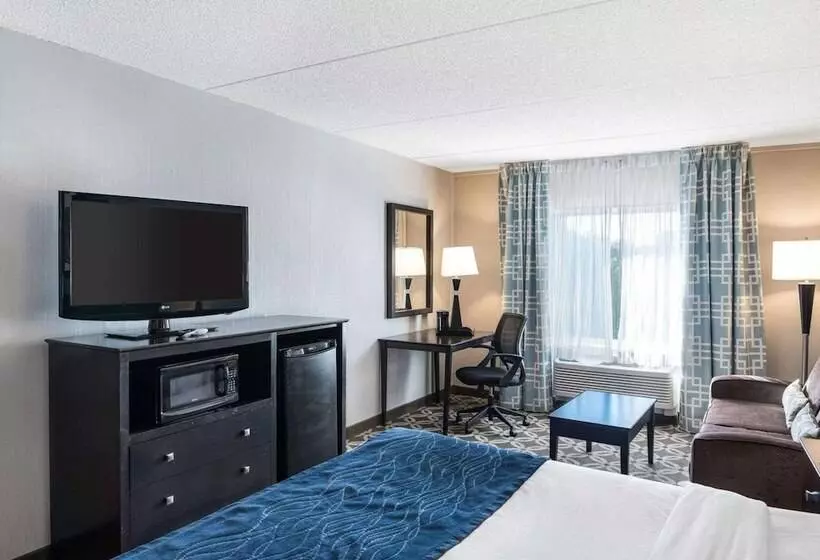 スタンダードルーム, Comfort Inn Rehoboth Beach