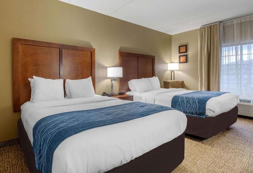 اتاق استاندارد, Comfort Inn & Suites Hamilton Place