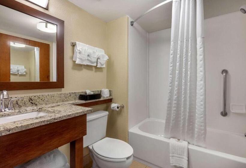 سوئیت با تخت بزرگ, Comfort Inn & Suites Hamilton Place