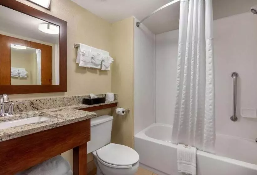 سوئیت با تخت بزرگ, Comfort Inn & Suites Hamilton Place