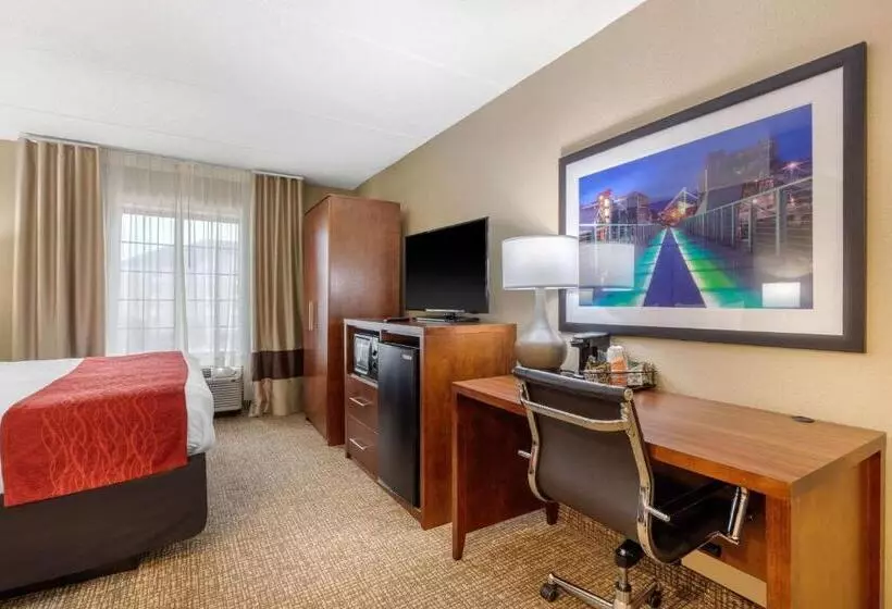 سوئیت با تخت بزرگ, Comfort Inn & Suites Hamilton Place