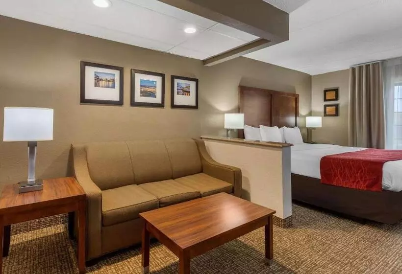 سوئیت با تخت بزرگ, Comfort Inn & Suites Hamilton Place