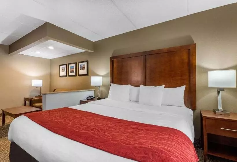 سوئیت با تخت بزرگ, Comfort Inn & Suites Hamilton Place