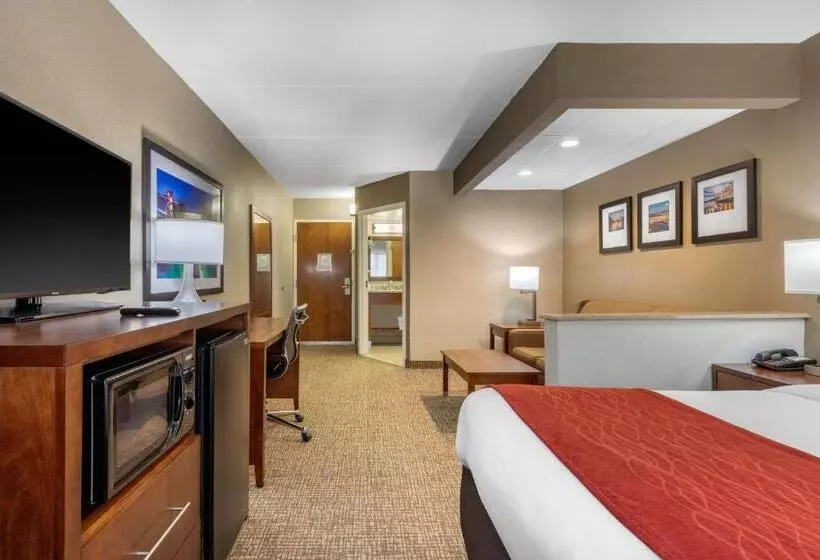 سوئیت با تخت بزرگ, Comfort Inn & Suites Hamilton Place