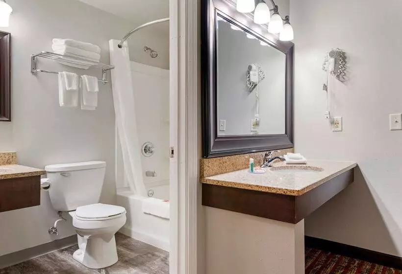 2ダブルベッドのスタンダードルーム, Econo Lodge Lakeview
