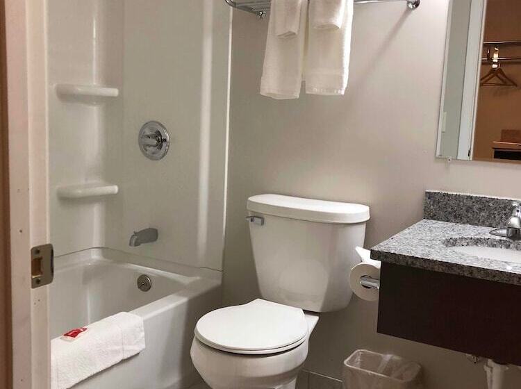 غرفه قياسيه سريرين مزدوجين, Econo Lodge Lakeview
