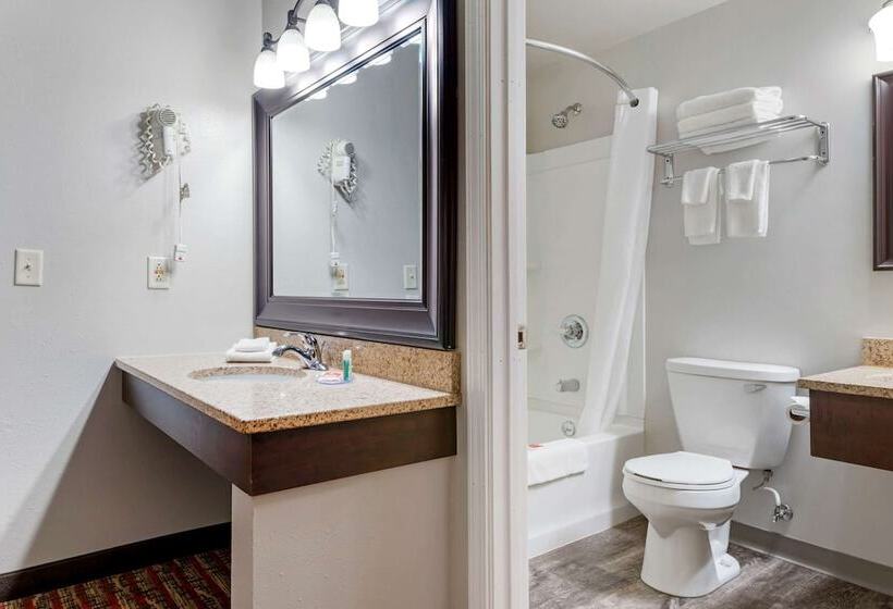 غرفه قياسيه سريرين مزدوجين, Econo Lodge Lakeview