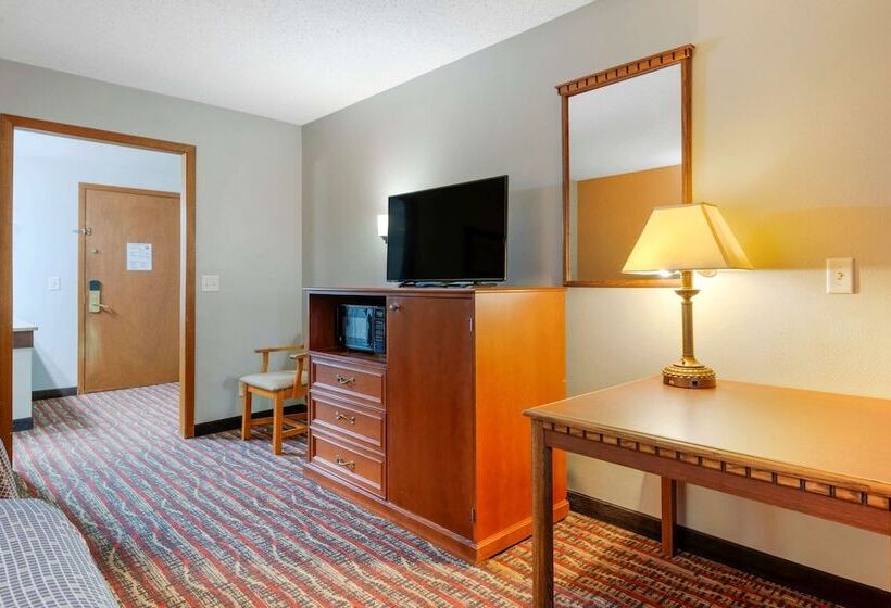 غرفه قياسيه سريرين مزدوجين, Econo Lodge Lakeview