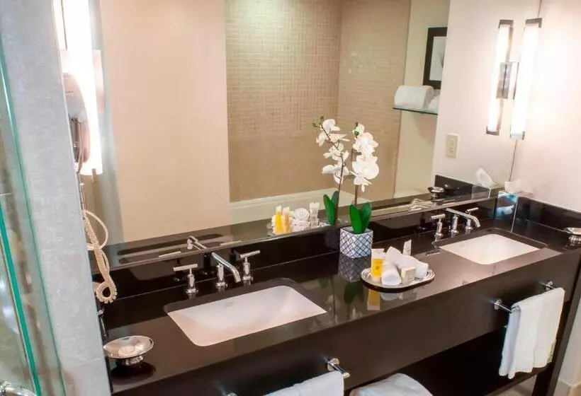 سوئیت اجرایی با تخت کینگ, Ellis Hotel, Atlanta, A Tribute Portfolio