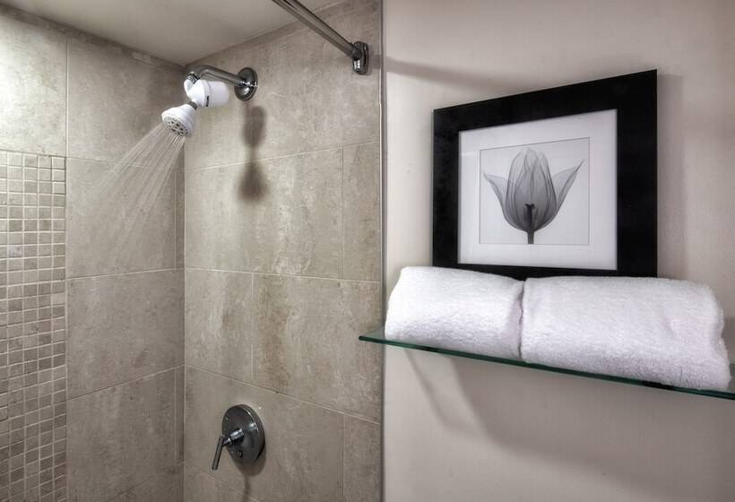 프리미엄 룸, Ellis Hotel, Atlanta, A Tribute Portfolio