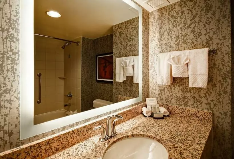 سوئیت 2 خوابه, Embassy Suites By Hilton Dulles Airport