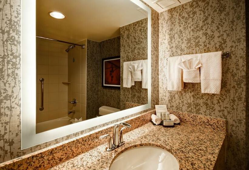 プレミアムスイート２ベッドルーム, Embassy Suites By Hilton Dulles Airport