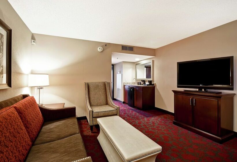 2 베드룸 프리미엄 스위트, Embassy Suites By Hilton Dulles Airport