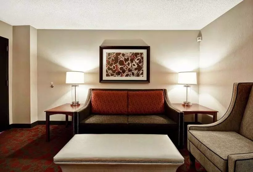 سوئیت پریمیوم 2 خوابه, Embassy Suites By Hilton Dulles Airport