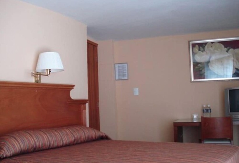 スタンダードルーム, Laam