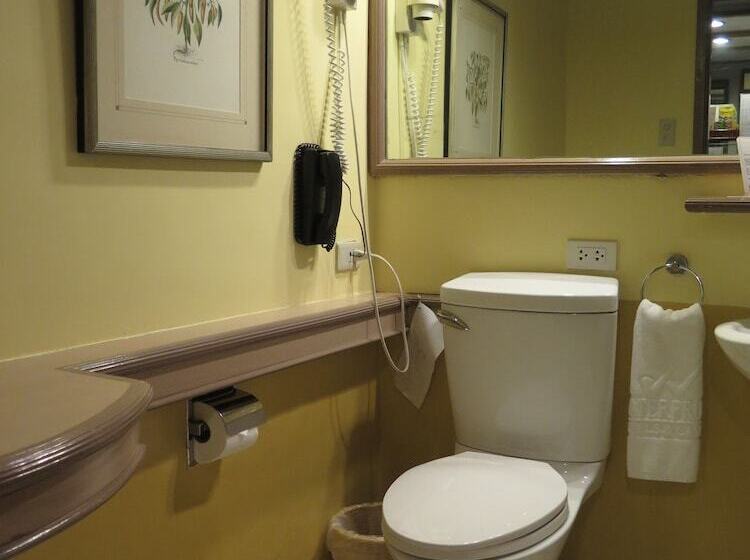 اتاق پرمیوم, Waterfront Insular Hotel Davao