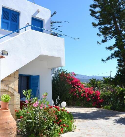 スタンダードスタジオ, Galeana Beach