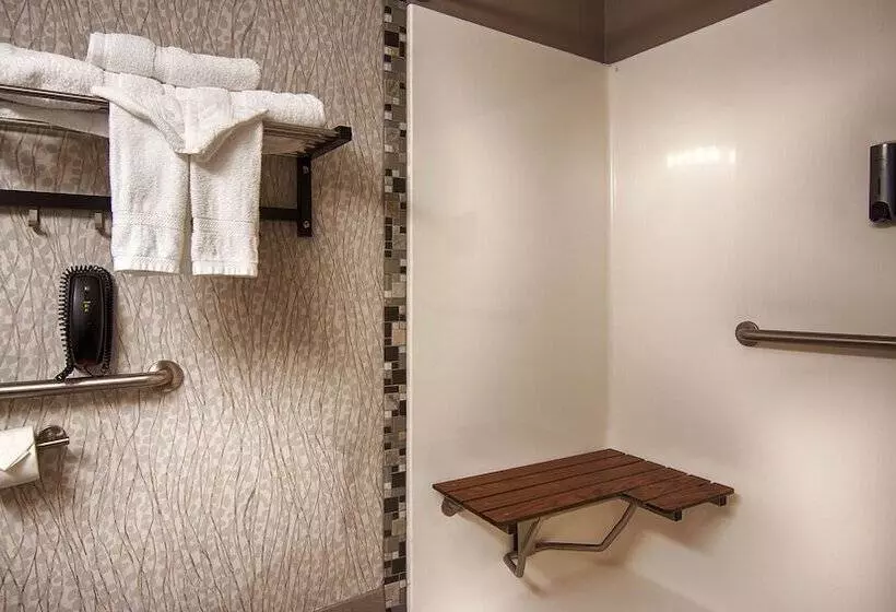 سوئیت برای معلولان, Best Western Plus Jackson Downtowncoliseum