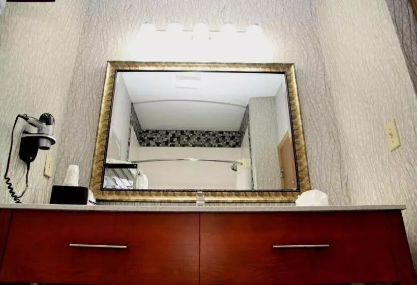 اتاق استاندارد با تخت بزرگ, Best Western Plus Jackson Downtowncoliseum