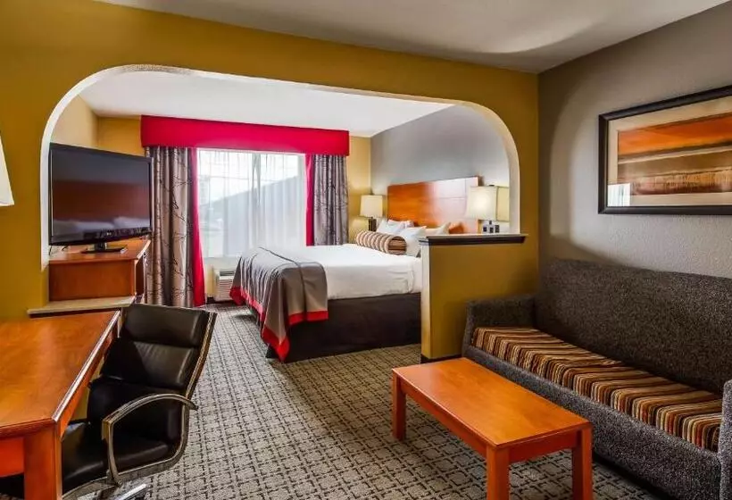 اتاق استاندارد با تخت بزرگ, Best Western Plus Jackson Downtowncoliseum
