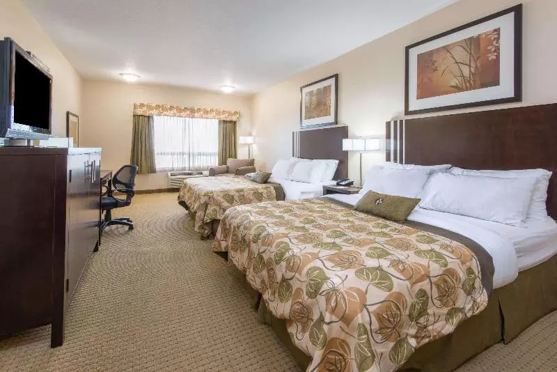 スタンダードルーム, Intercontinental San Francisco, An Ihg