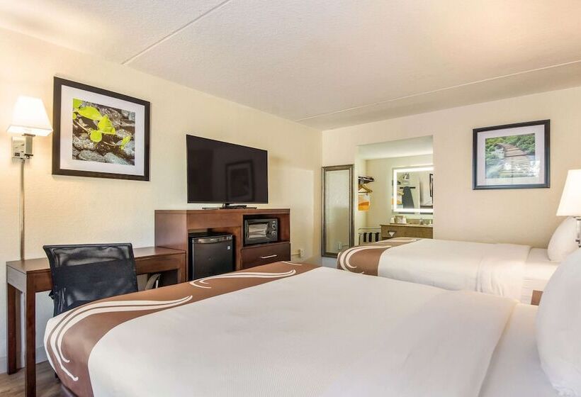 带2个双人床的标准工作室, Quality Inn Bradenton Sarasota North