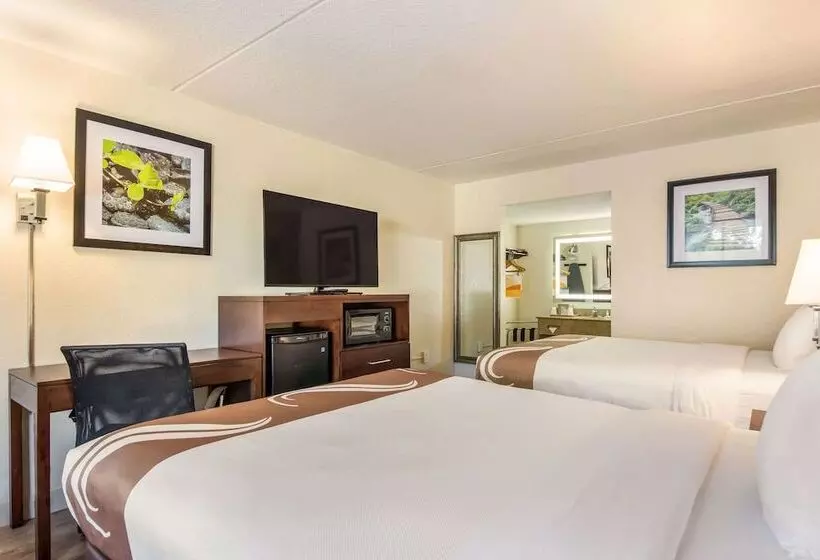 ２ダブルベッドのスタンダードルーム, Quality Inn Bradenton  Sarasota North