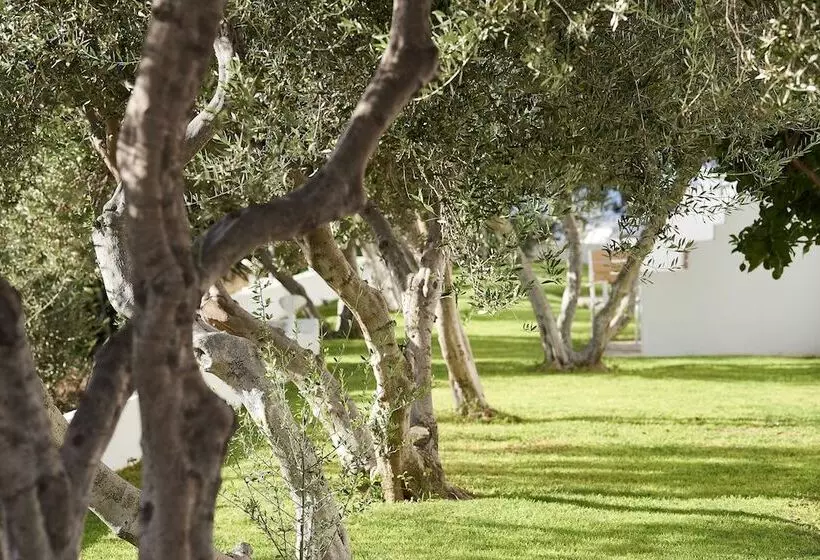 اتاق استاندارد با چشم‌انداز باغ, Santa Maria Village Resort & Spa