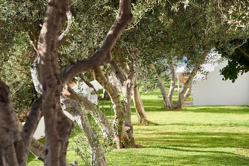 Quarto standart vista jardim, Santa Maria Village Resort & Spa