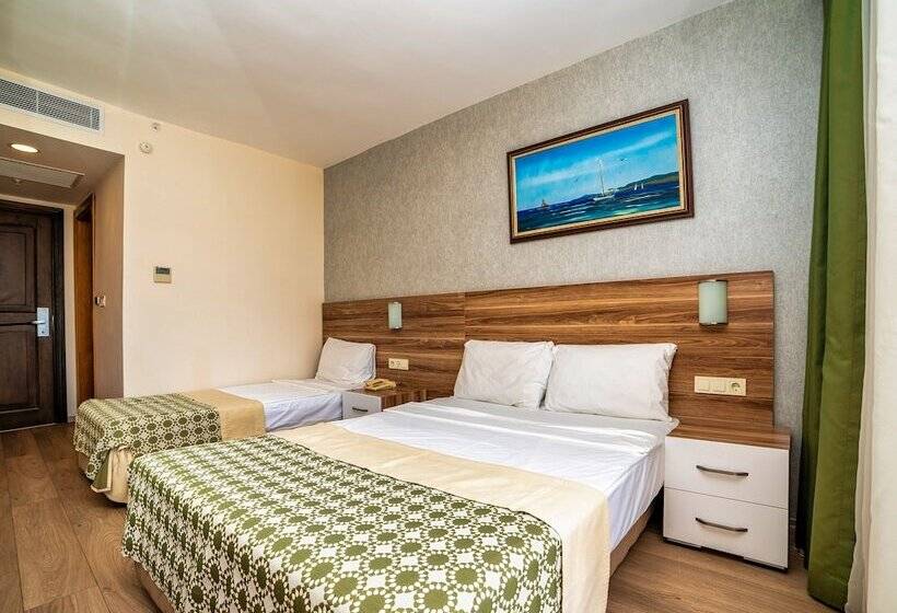 اتاق استاندارد, Transatlantik Beach