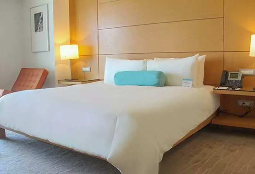 اتاق سوپریور با چشم‌انداز, Palacio Mundo Imperial Riviera Diamante Acapulco