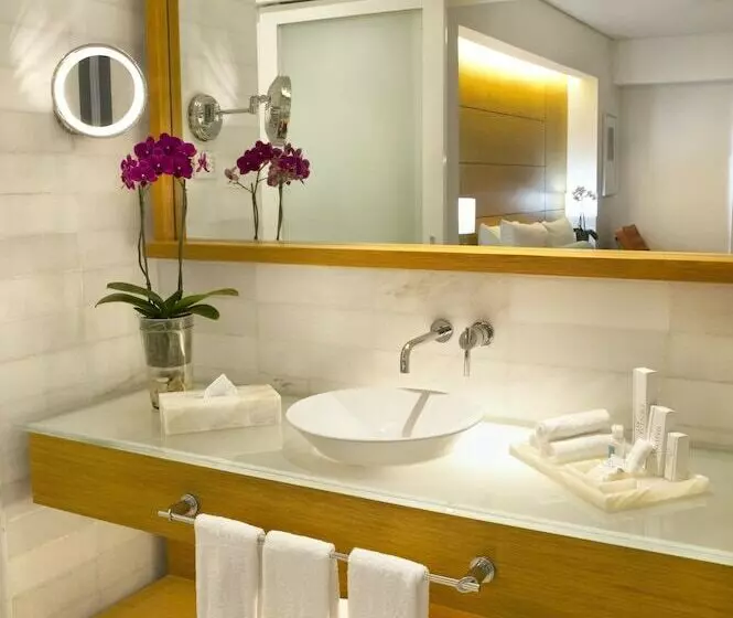 اتاق سوپریور با چشم‌انداز, Palacio Mundo Imperial Riviera Diamante Acapulco