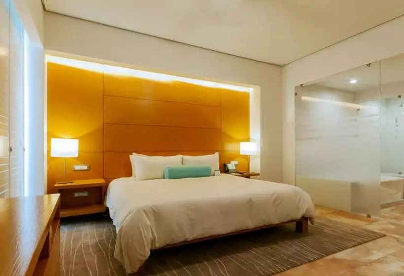 سوئیت جونیور با تخت بزرگ, Palacio Mundo Imperial Riviera Diamante Acapulco
