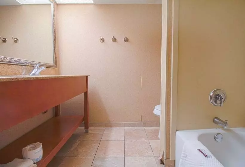 2ダブルベッドのスタンダードルーム, Tulsa Square Hotel Central, I-44 By OYO