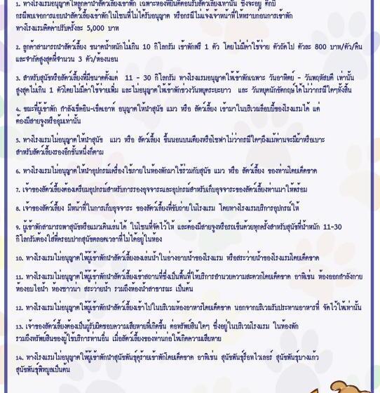 プレジデントスイートルーム, Bella Villa Cabana