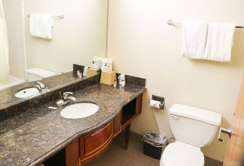 2ダブルベッドのスタンダードルーム, Budget Inn