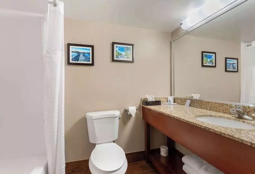 ２ダブルベッドのスタンダードルーム, Comfort Inn & Suites