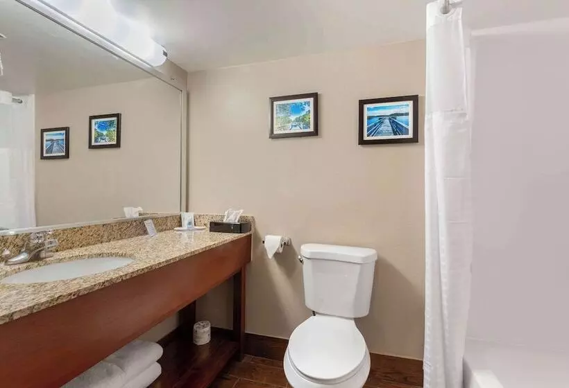 スイート, Comfort Inn & Suites
